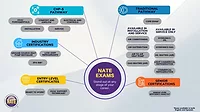 Nate and SkillCat partner