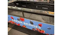 Empty berry case.jpg Empty-berry-case.jpg