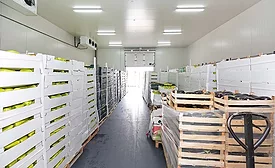 Refrigerated Food