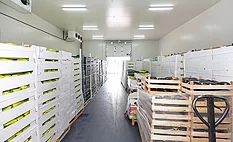 Refrigerated Food