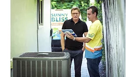 Sunny_Bliss_summer.jpg