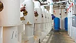 Standing Column