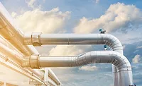 Nelson-lead-900x550.jpg SEE Plant Model