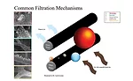Figure 3. Common filtration mechanism in air filtration. 