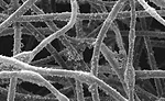 Figure 5. Illustration of depth deposition of particle on filter media. 