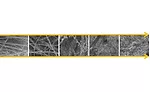 Figure 6. Progression of particle loading challenging fibrous media from stationary phase to dust-cake formation. 