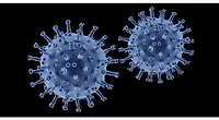 virus.jpg