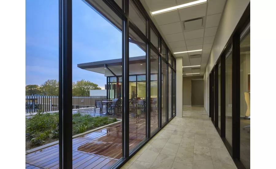 Dewberry Net Zero2