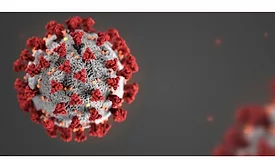 Coronavirus Image 3
