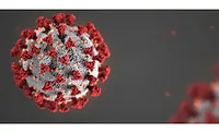 Coronavirus Image 3