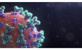 Coronavirus Survey Main Image