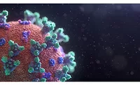 Coronavirus Survey Main Image