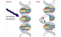 Double Helix DNA Strand