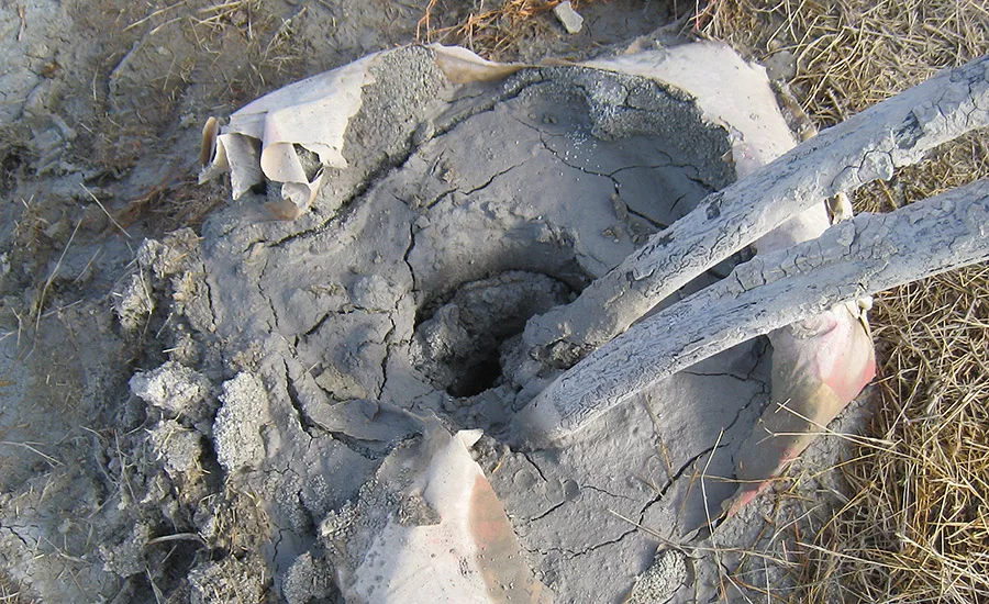 Grouted borehole