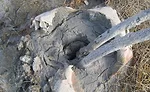 Grouted borehole