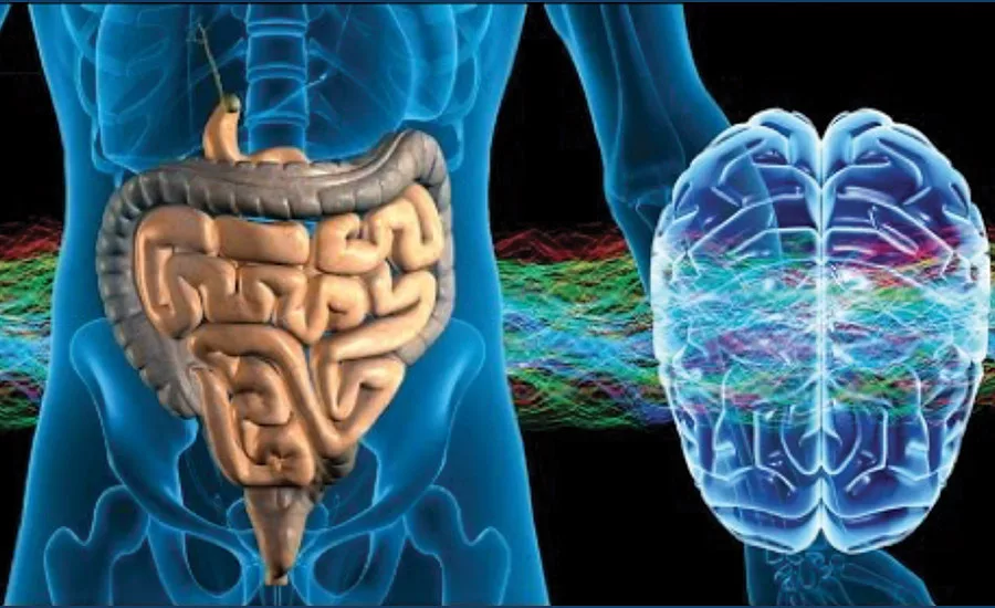 Future IAQ: Humans On Microbes