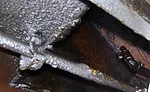 Figure 4. Hood plenum without automated cleaning