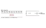 Fume exhaust stack head loss coefficient