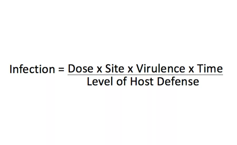 Infection equation