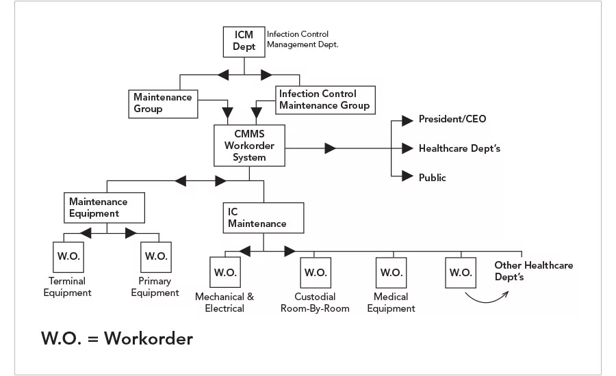 Proposed organizational chart