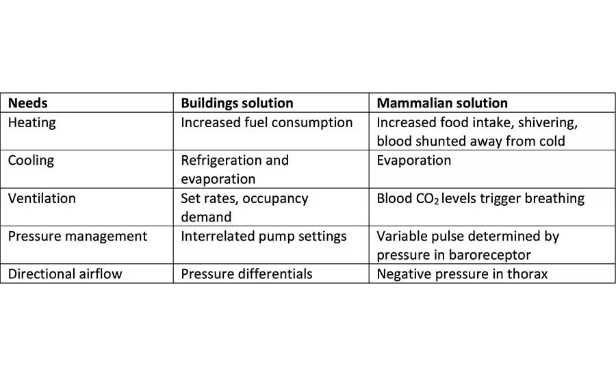 TABLE 1. Areas of overlap between HVAC and vertebrate systems