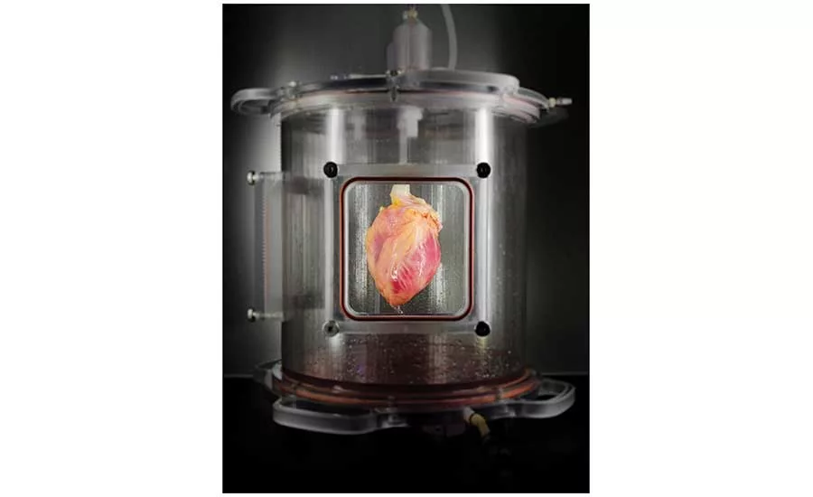FIGURE 1. Futuristic bio-monitor