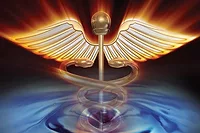 Healthcare Healthcare