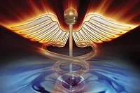 healthcare422 healthcare422