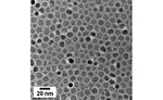 Group of Nanoparticle