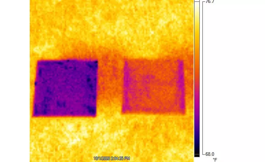 Infared Camera Image