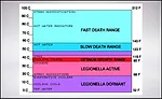 Legionella Death Chart