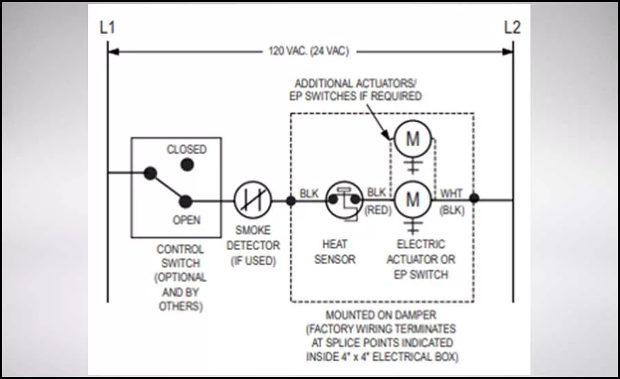 Hauf - Fig 3