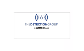 The Detection Group Logo