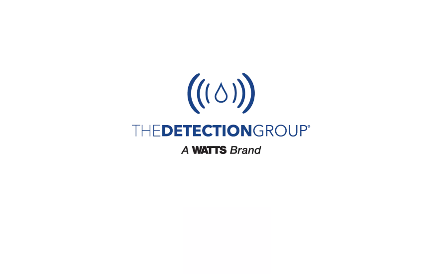 The Detection Group Logo