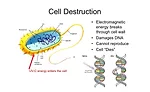 Cell Destruction UV-C