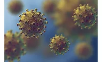 Coronavirus Coronavirus