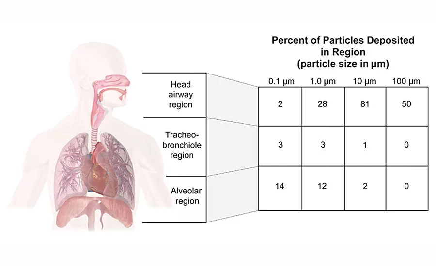 Figure 4: Particles deposited in region