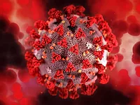 Coronavirus Coronavirus
