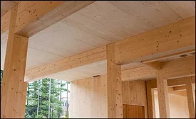 Mass Timber