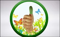hydrotreated vegetable oil (HVO) hydrotreated vegetable oil (HVO)