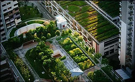 Decarbonizing Buildings 