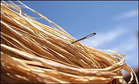 needle in a haystack