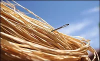needle in a haystack needle in a haystack