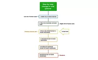  Progression of viral hosts from a zoonotic source to a human pandemic