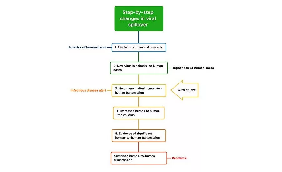 Progression of viral hosts from a zoonotic source to a human pandemic
