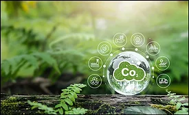 co2 graphic with a forest backdrop