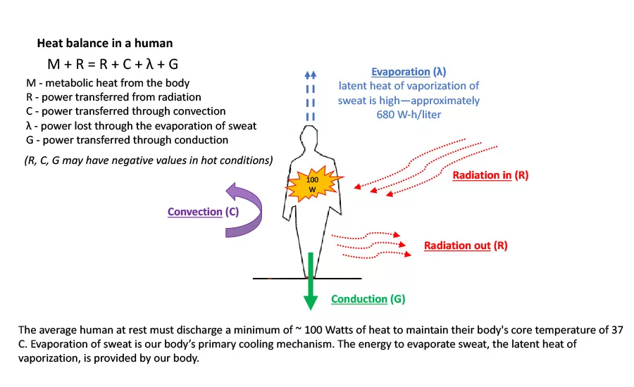 The average human at rest must discharge