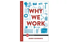 Why We Work book