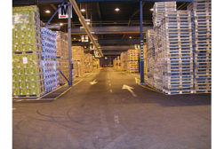 Warehouse_md17_feature_1.jpg