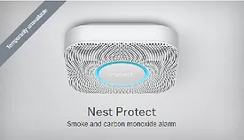 Nest Web-Resized